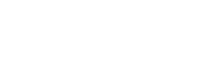 Logo Planit